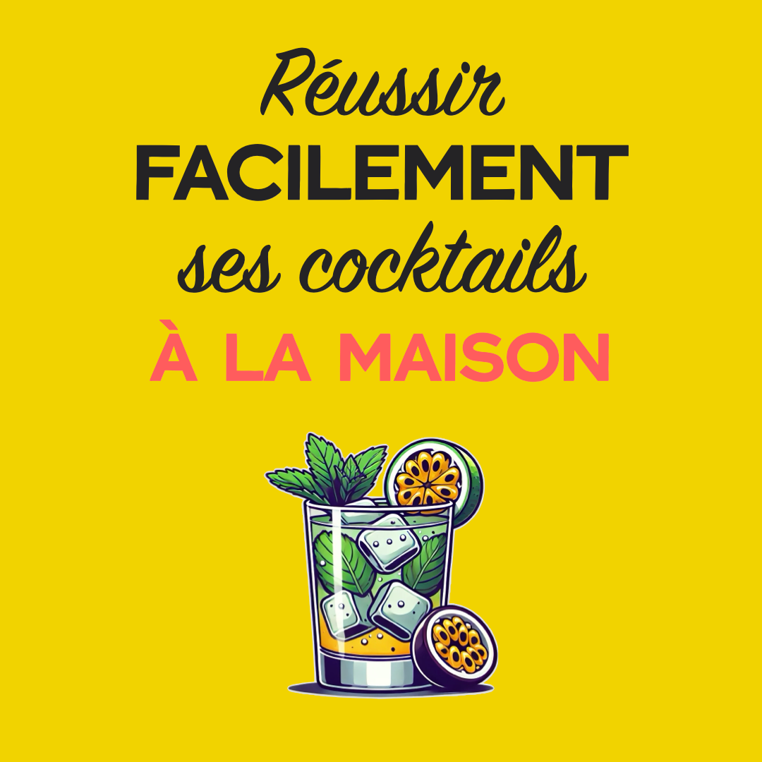 EBOOK - 66 recettes de cocktail à faire chez toi !